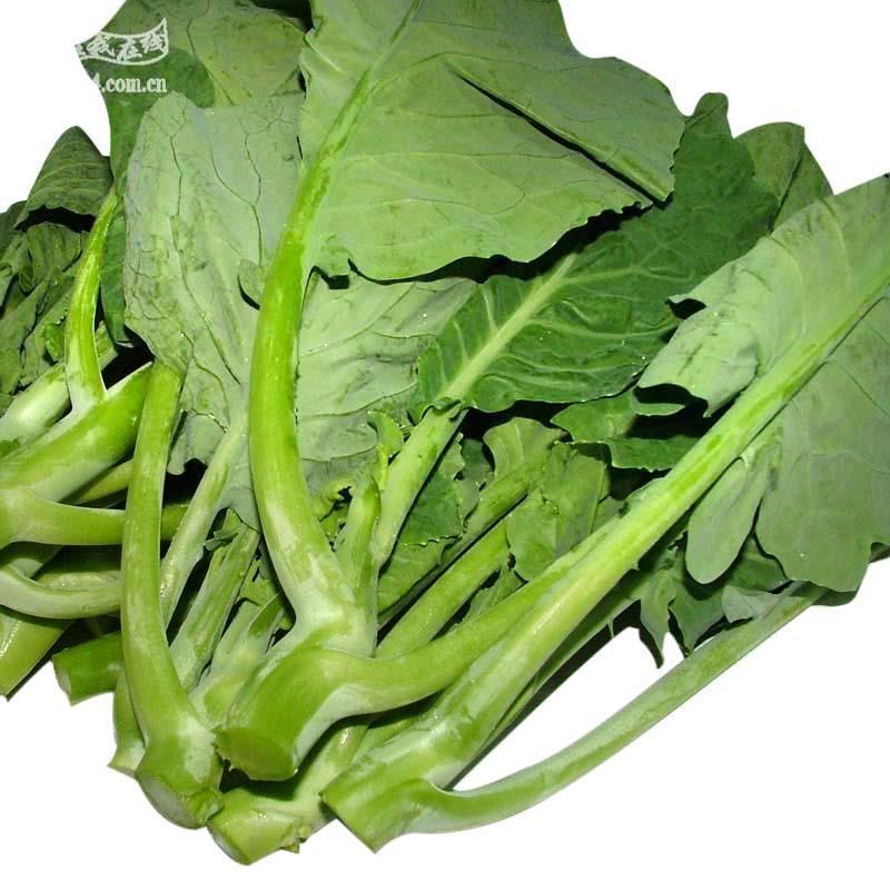 芥蓝- 任我在线网上商城|网上购物,送货上门