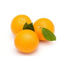 网袋甜橙